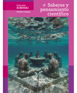 Libro ingles Projects and Readings First grade Secundaria 2025-2026 4 Libro de Saberes y Pensamiento Científico primer grado de secundaria – Descargar en PDF 2025-2026