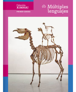 Libro ingles Projects and Readings First grade Secundaria 2025-2026 5 Libro de Múltiples Lenguajes de primer grado de secundaria – Descargar en PDF 2025-2026