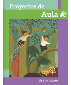 Libro de Proyectos de Aula de sexto grado de primaria – Descargar en PDF 2025-2026